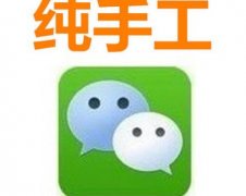 刷投票微信ip软件移动版如何快速运行