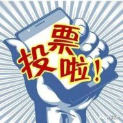 你想帮助游说大师刷投票价格低