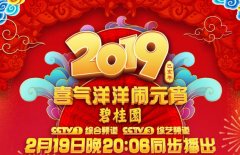 中央电视台元宵节的投票开始于2019年!